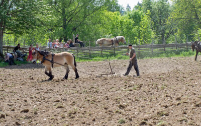 Vårbruk med häst | 4 maj
