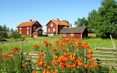 Familjedag med Åsens vänner | 15 aug